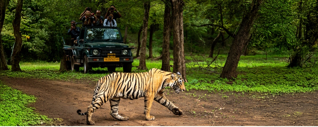 Rajasthan Royale: Beyond The Forts   9 Days 5 Cities